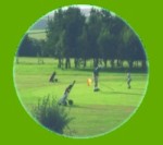 Down the fairway in a instant....